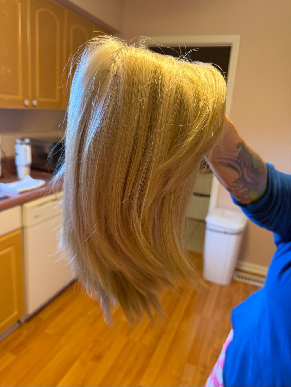 Envy Wig Amber Light Blonde